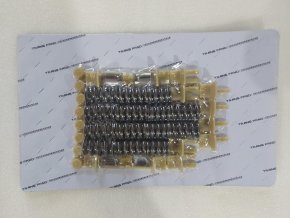 Комплект демпферных пружин корзины сцепления 6DCT450 (MPS6)